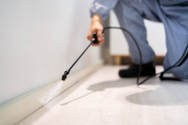 Best Commercial Pest Control Services  in Madison Center, CT